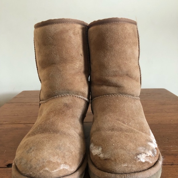 Ugg boots - chestnut - Picture 5 of 5